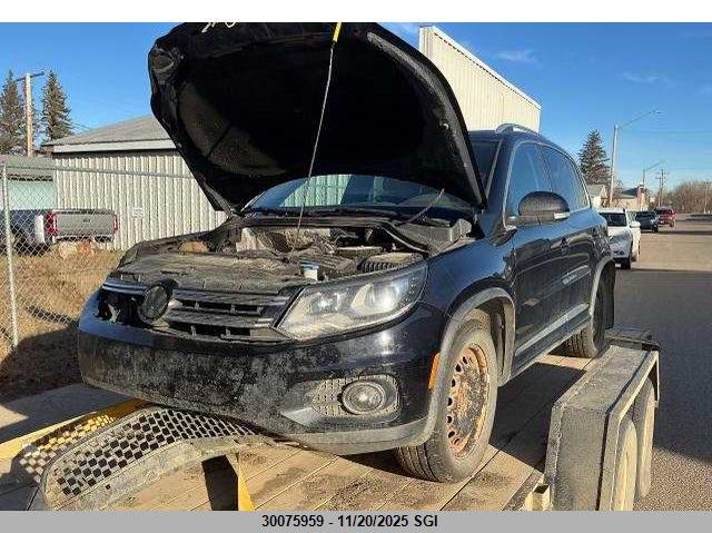WVGJV3AX3EW028832 2014 Volkswagen Tiguan S/Se/Sel/R-Line auction photo 1