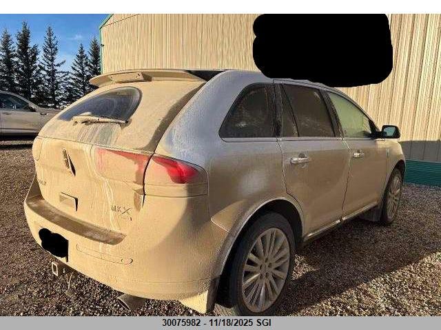 2011 Lincoln Mkx VIN: 2LMDJ8JK1BBJ17987 Lot: 30075982