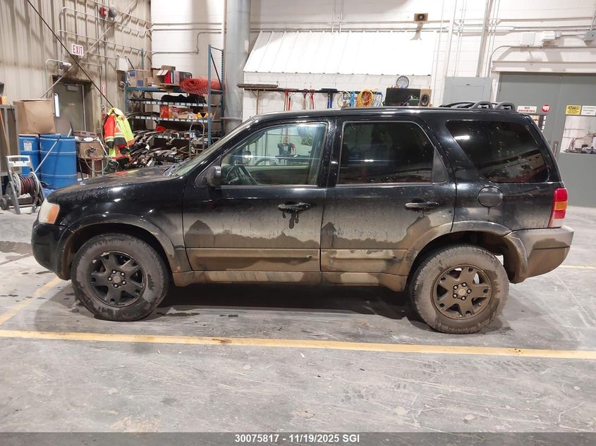 2004 Ford Escape Limited VIN: 1FMCU94164KA32711 Lot: 30075817