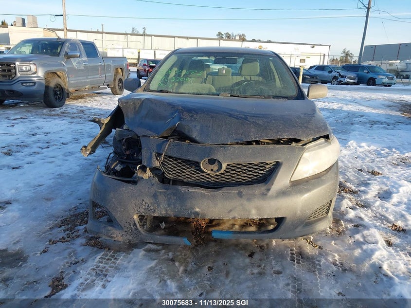 2009 Toyota Corolla S/Le/Xle VIN: 2T1BU40E29C036243 Lot: 30075683