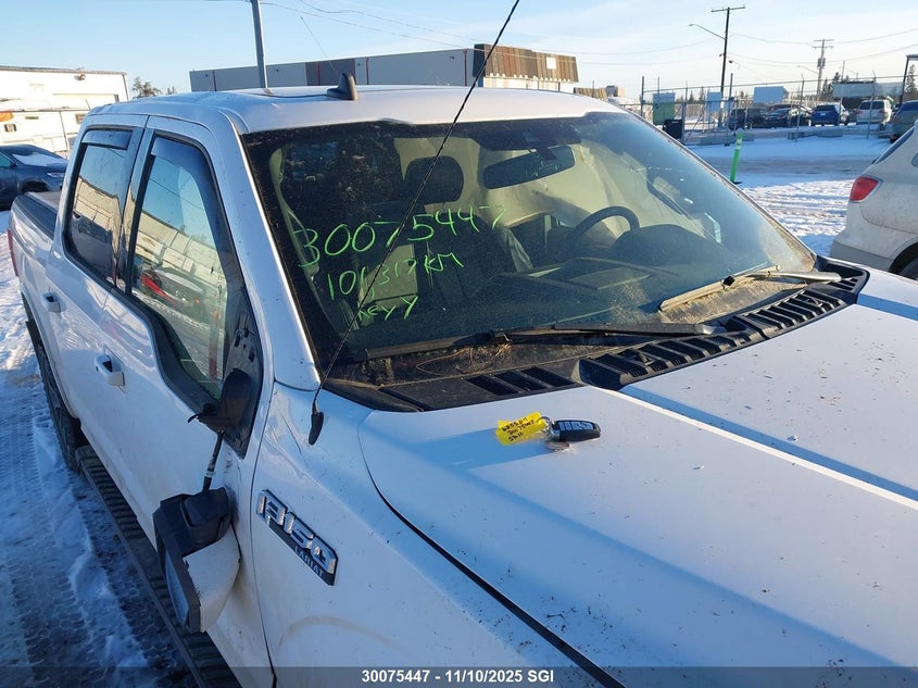 2020 Ford F150 Supercrew VIN: 1FTEW1EPXLKE52479 Lot: 30075447
