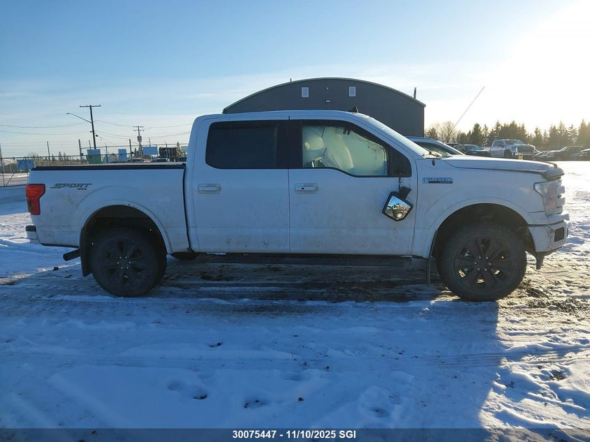 2020 Ford F150 Supercrew VIN: 1FTEW1EPXLKE52479 Lot: 30075447