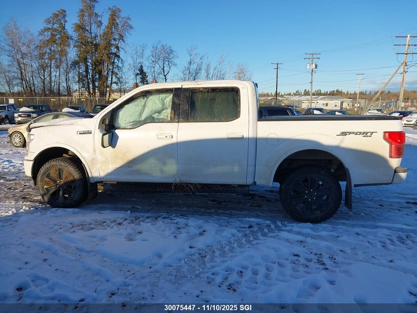 2020 Ford F150 Supercrew VIN: 1FTEW1EPXLKE52479 Lot: 30075447