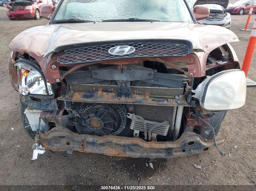 2002 Hyundai Santa Fe Gls/Lx VIN: KM8SC73D02U324029 Lot: 30076436