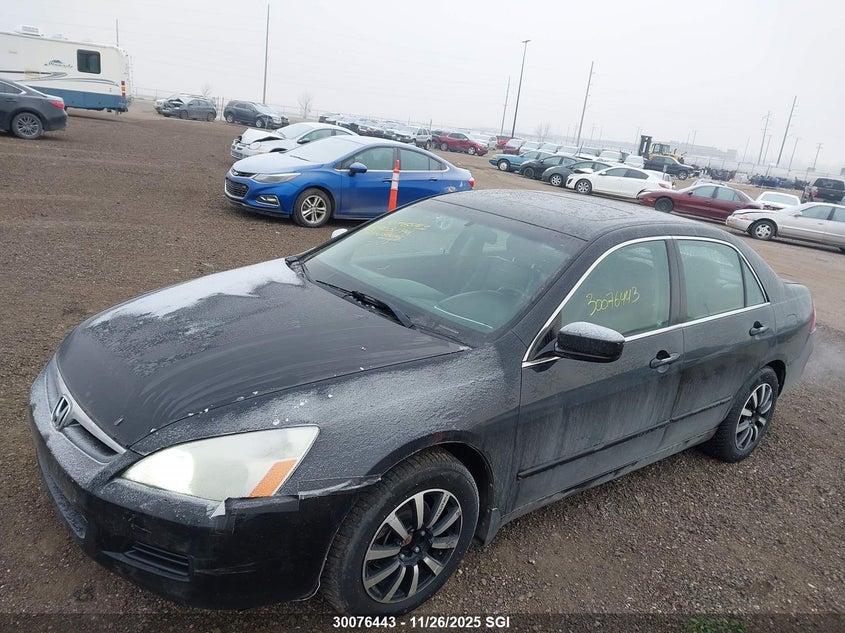 2007 Honda Accord Ex VIN: 1HGCM66537A803172 Lot: 30076443