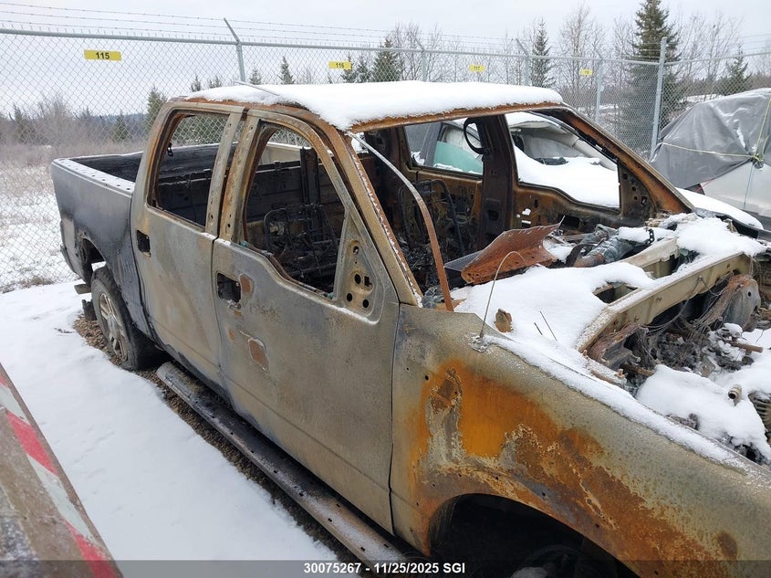 2006 Ford F150 Supercrew VIN: 1FTPW14596FB08695 Lot: 30075267