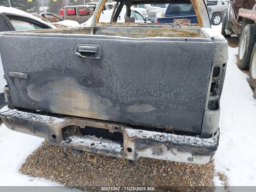 2006 Ford F150 Supercrew VIN: 1FTPW14596FB08695 Lot: 30075267