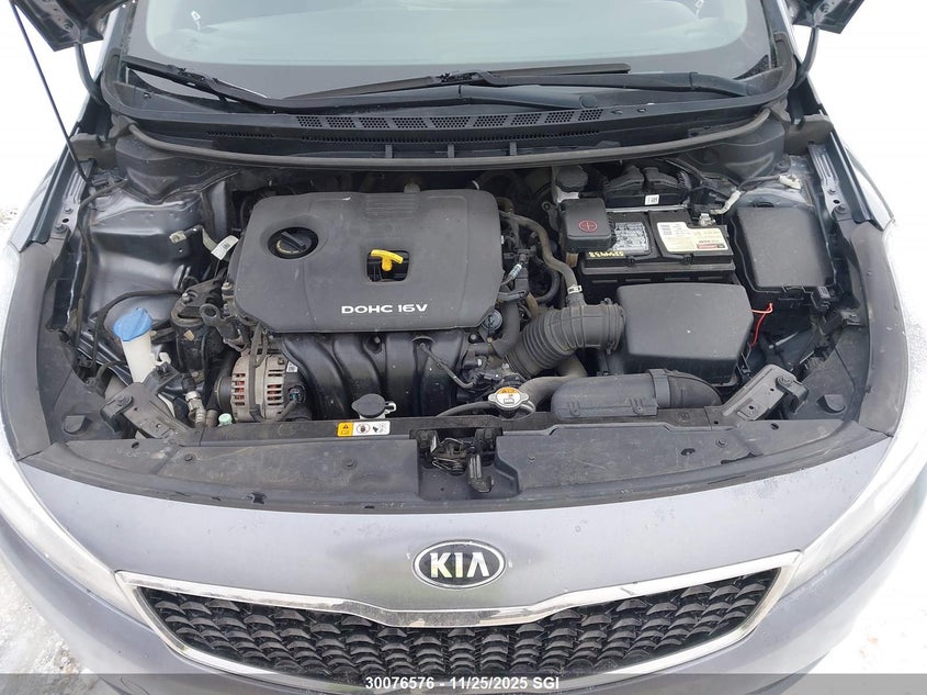 2018 Kia Forte Lx/S VIN: 3KPFL4A72JE225355 Lot: 30076576