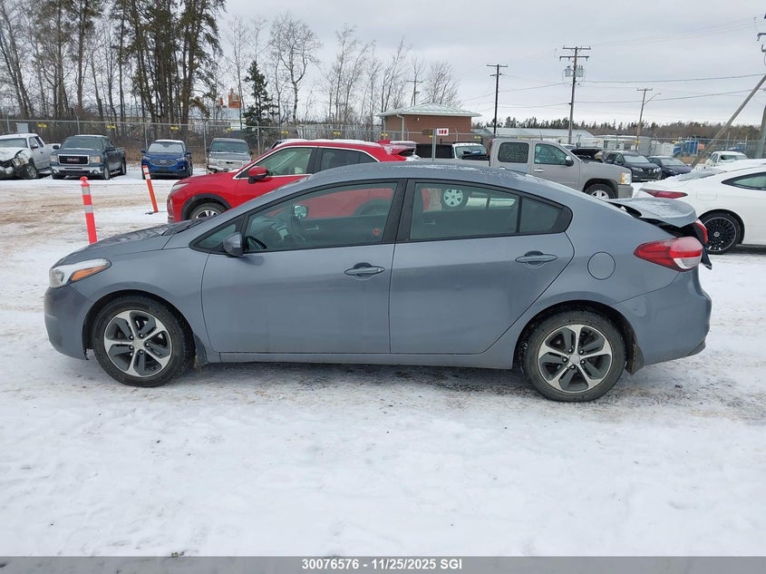 2018 Kia Forte Lx/S VIN: 3KPFL4A72JE225355 Lot: 30076576