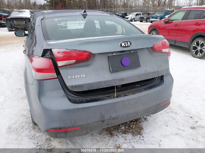 2018 Kia Forte Lx/S VIN: 3KPFL4A72JE225355 Lot: 30076576