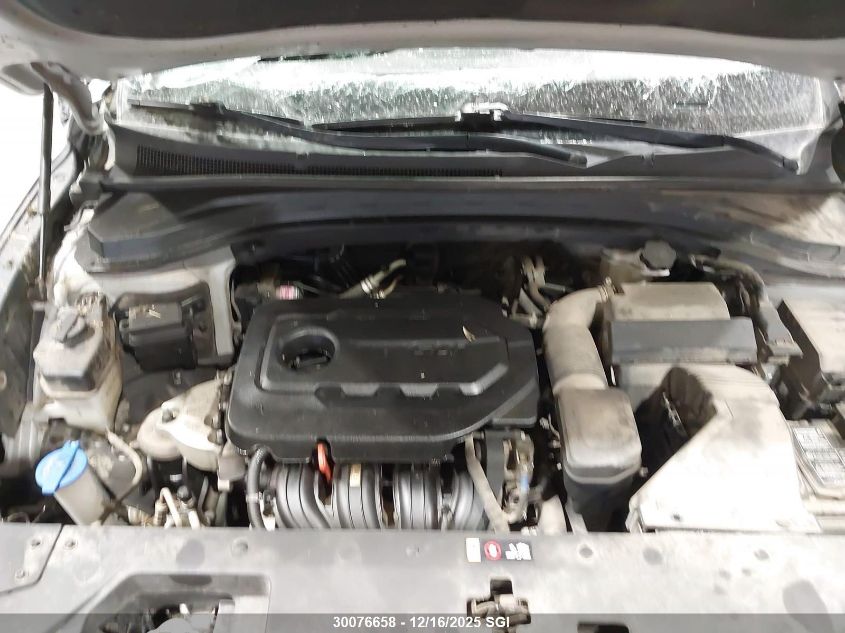 2020 Hyundai Santa Fe Se VIN: 5NMS2CAD0LH238456 Lot: 30076658