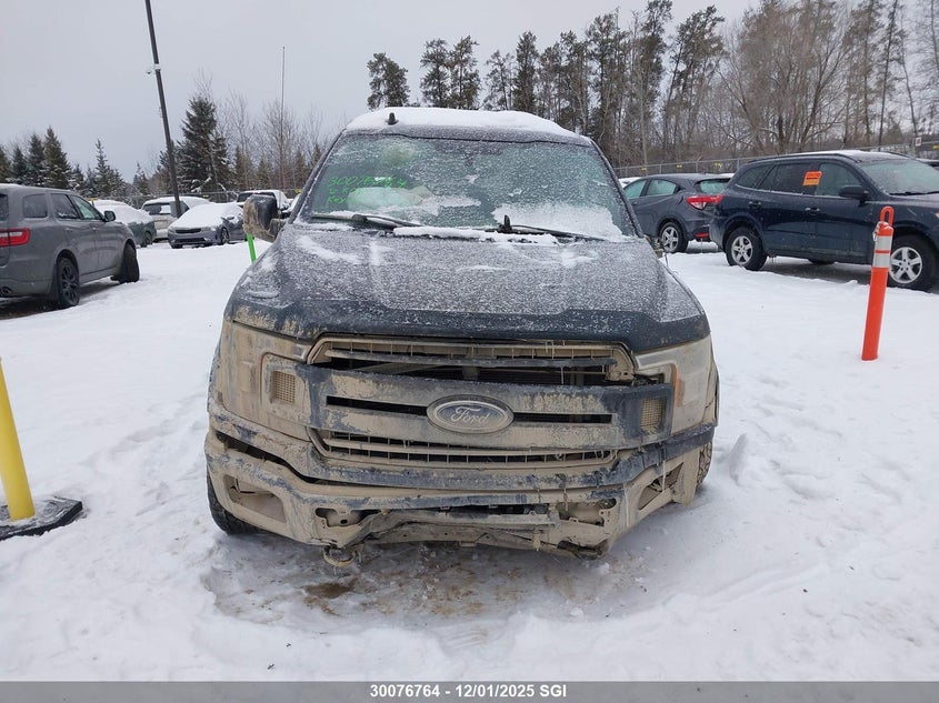 1FTEW1EP9LKF29181 2020 FORD F-150 photo no. 12