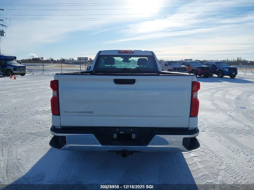 2023 Chevrolet Silverado C1500 VIN: 3GCNAAEDXPG351654 Lot: 30076958