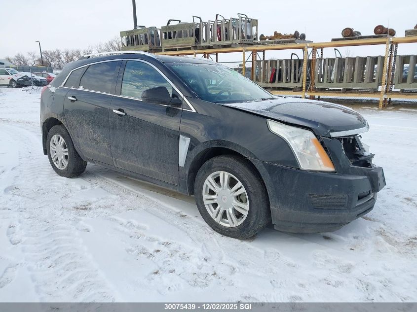 CADILLAC SRX LUXURY COLLECTION