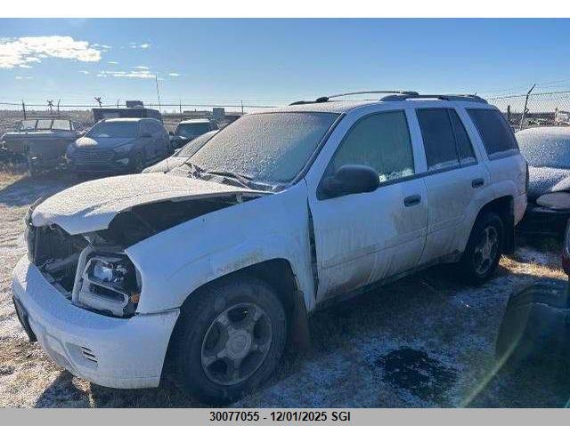 1GNDT13S662341466 2006 CHEVROLET TRAILBLAZER photo no. 2