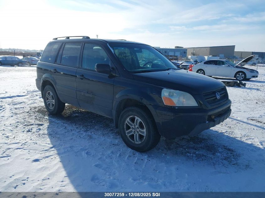 2005 Honda Pilot Exl VIN: 2HKYF18555H002246 Lot: 30077259
