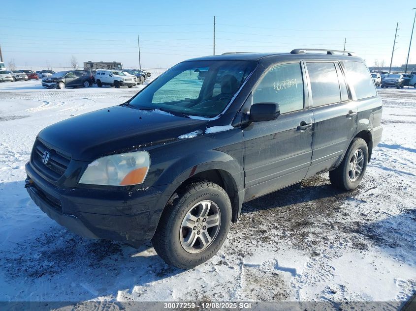 2005 Honda Pilot Exl VIN: 2HKYF18555H002246 Lot: 30077259