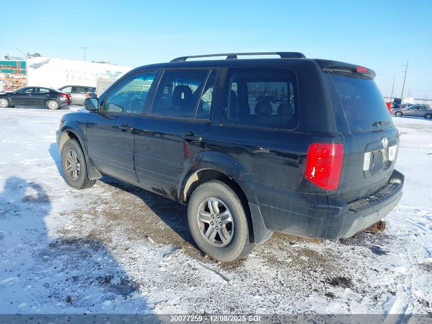 2005 Honda Pilot Exl VIN: 2HKYF18555H002246 Lot: 30077259