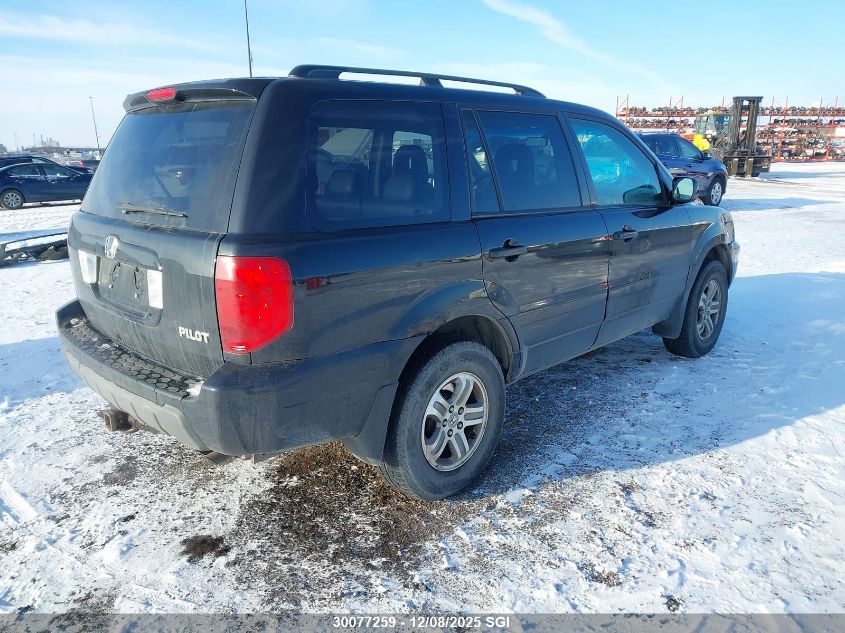 2005 Honda Pilot Exl VIN: 2HKYF18555H002246 Lot: 30077259