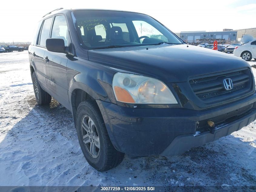 2005 Honda Pilot Exl VIN: 2HKYF18555H002246 Lot: 30077259