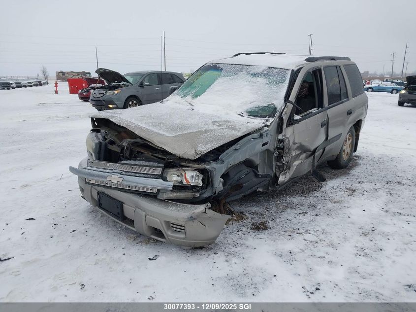 2003 Chevrolet Trailblazer VIN: 1GNDT13S132211204 Lot: 30077393