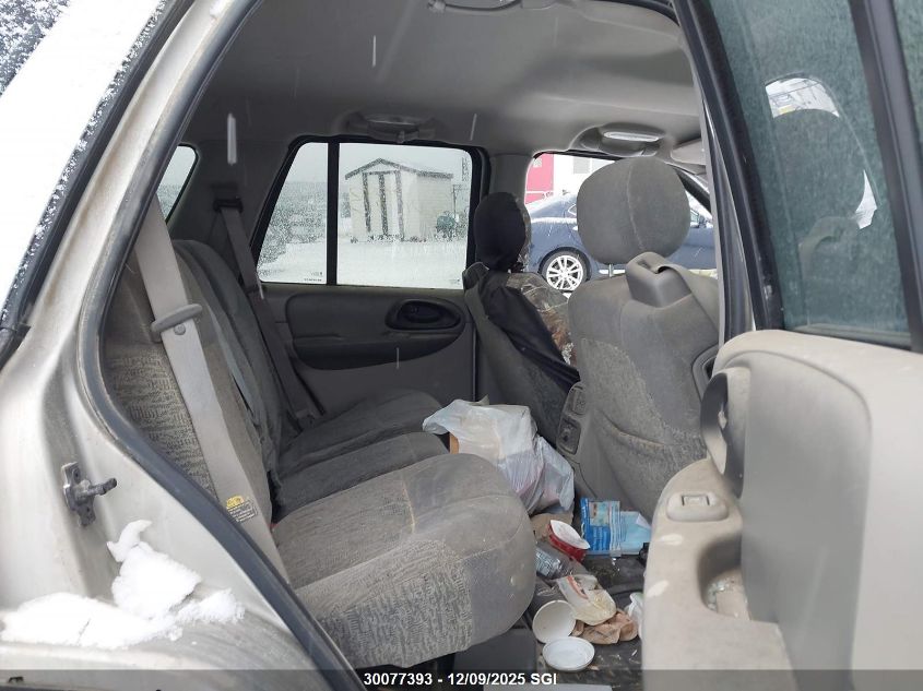 2003 Chevrolet Trailblazer VIN: 1GNDT13S132211204 Lot: 30077393