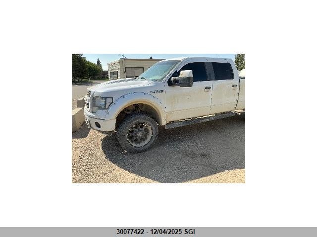1FTFW1EVXAFC25995 2010 FORD F-150 photo no. 2
