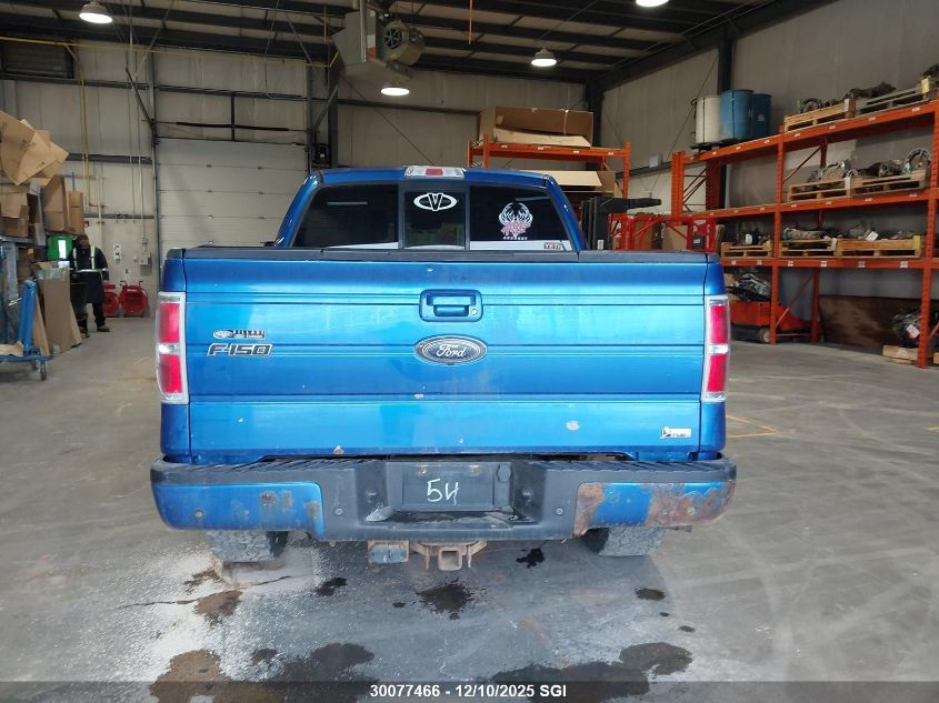 2010 Ford F150 Supercrew VIN: 1FTFW1EV8AFC39720 Lot: 30077466