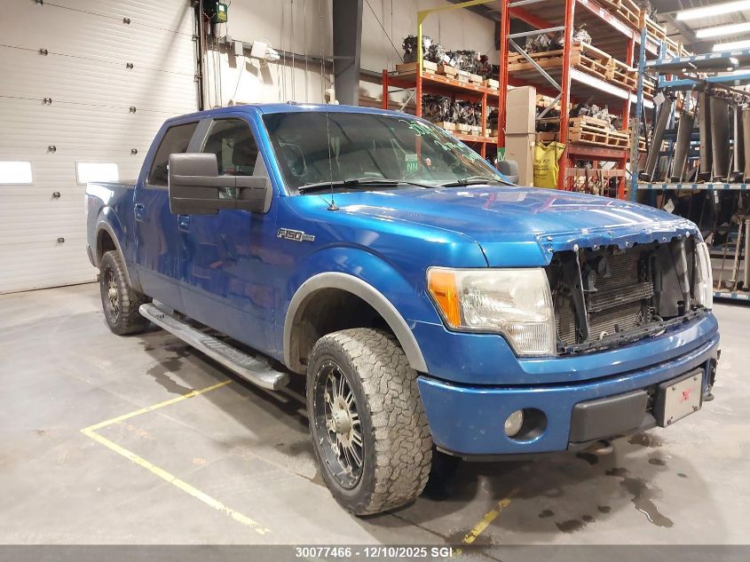 2010 Ford F150 Supercrew VIN: 1FTFW1EV8AFC39720 Lot: 30077466