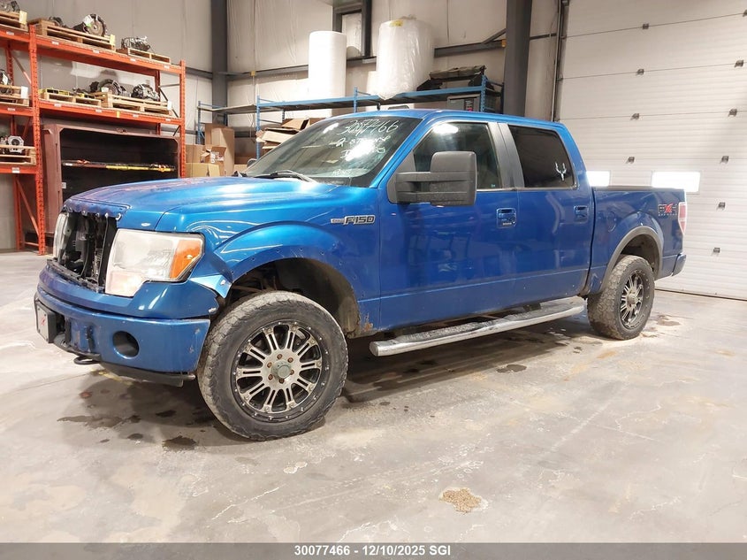 1FTFW1EV8AFC39720 2010 FORD F-150 photo no. 2