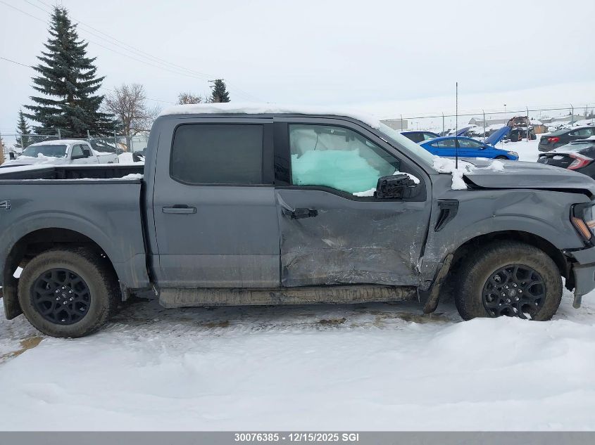 2025 Ford F150 Xlt VIN: 1FTFW3L52SKE54243 Lot: 30076385