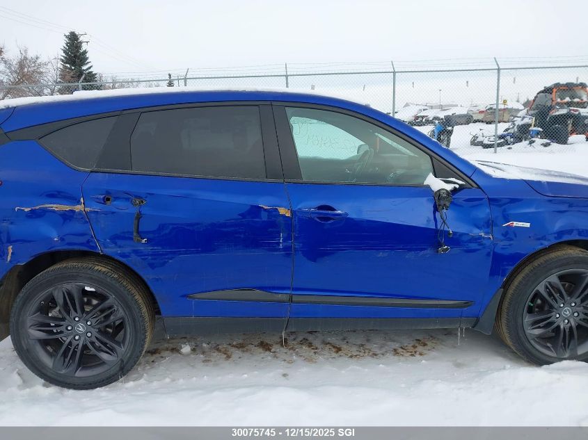 2019 Acura Rdx A-Spec VIN: 5J8TC2H64KL800294 Lot: 30075745