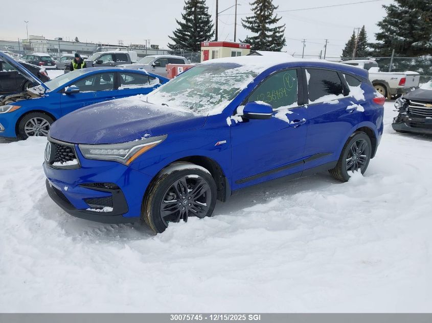 2019 Acura Rdx A-Spec VIN: 5J8TC2H64KL800294 Lot: 30075745