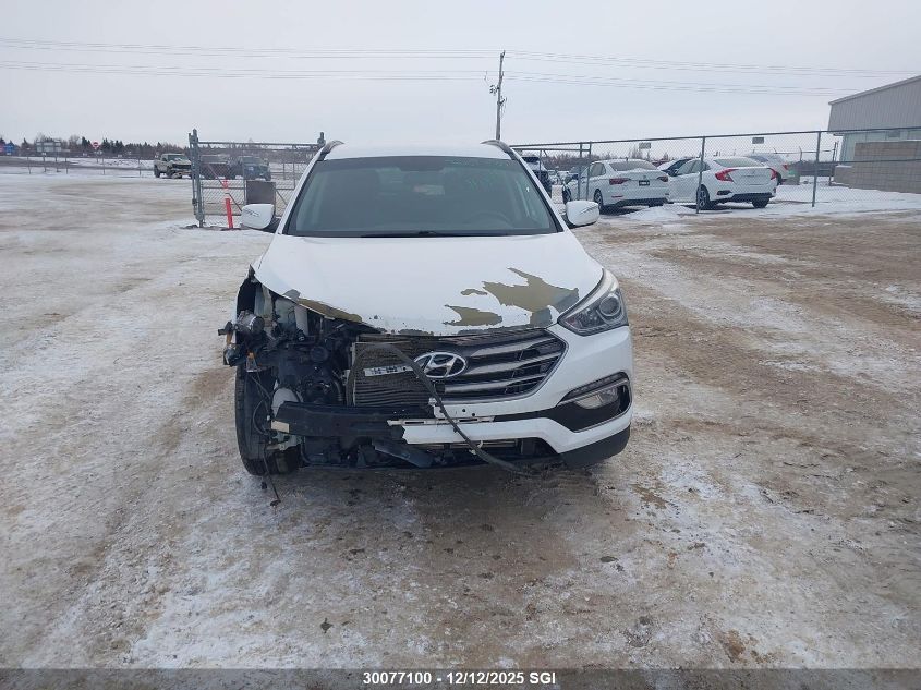 2017 Hyundai Santa Fe Sport VIN: 5NMZUDLB0HH037867 Lot: 30077100
