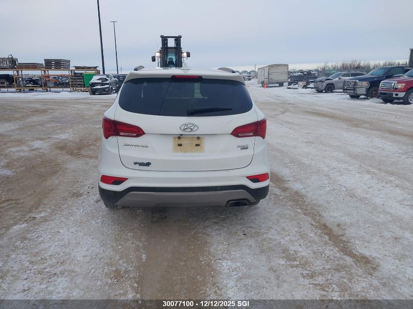 2017 Hyundai Santa Fe Sport VIN: 5NMZUDLB0HH037867 Lot: 30077100