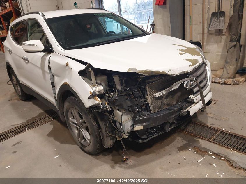 2017 Hyundai Santa Fe Sport VIN: 5NMZUDLB0HH037867 Lot: 30077100