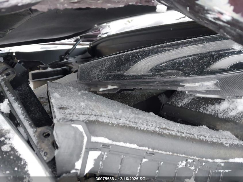 2020 Hyundai Palisade Sel VIN: KM8R3DHE1LU133364 Lot: 30075538