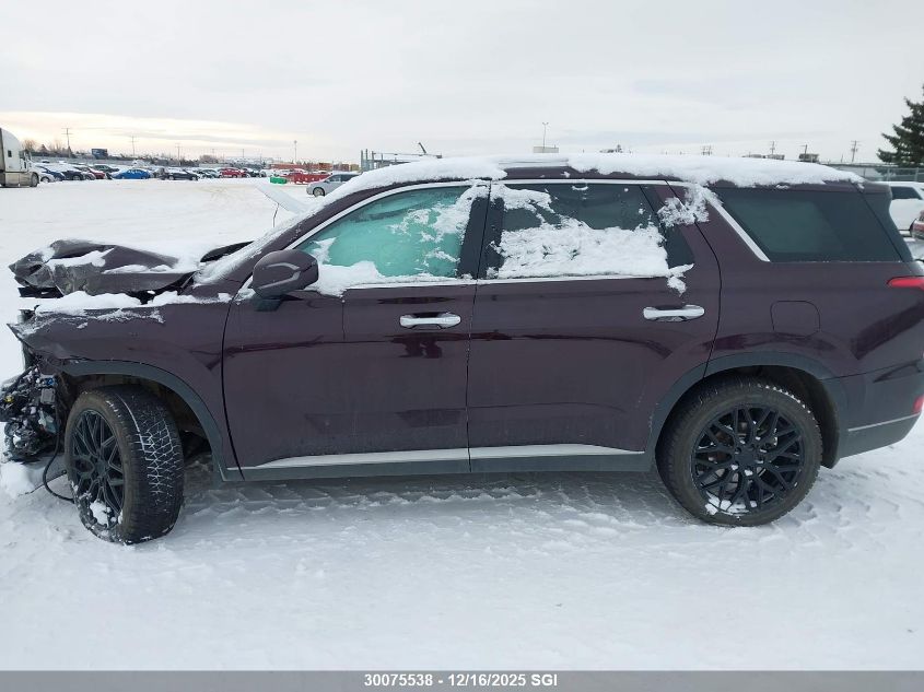 2020 Hyundai Palisade Sel VIN: KM8R3DHE1LU133364 Lot: 30075538