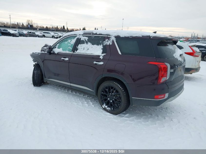 2020 Hyundai Palisade Sel VIN: KM8R3DHE1LU133364 Lot: 30075538