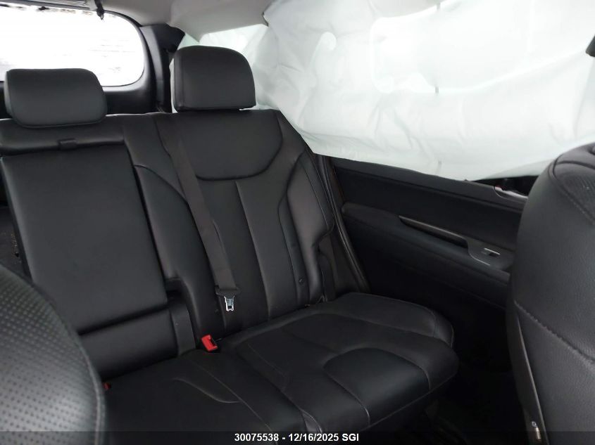 2020 Hyundai Palisade Sel VIN: KM8R3DHE1LU133364 Lot: 30075538