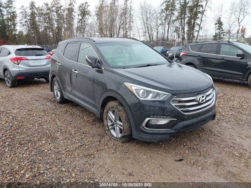 2017 Hyundai Santa Fe Sport VIN: 5NMZUDLB6HH050767 Lot: 30074700