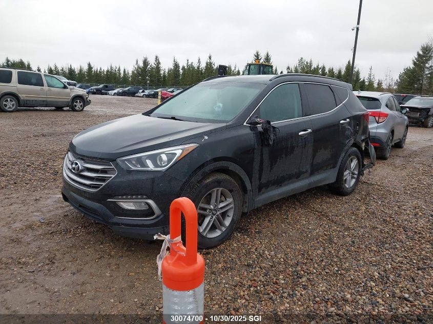 2017 Hyundai Santa Fe Sport VIN: 5NMZUDLB6HH050767 Lot: 30074700