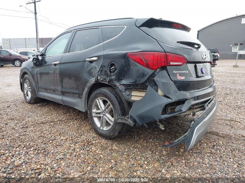 2017 Hyundai Santa Fe Sport VIN: 5NMZUDLB6HH050767 Lot: 30074700