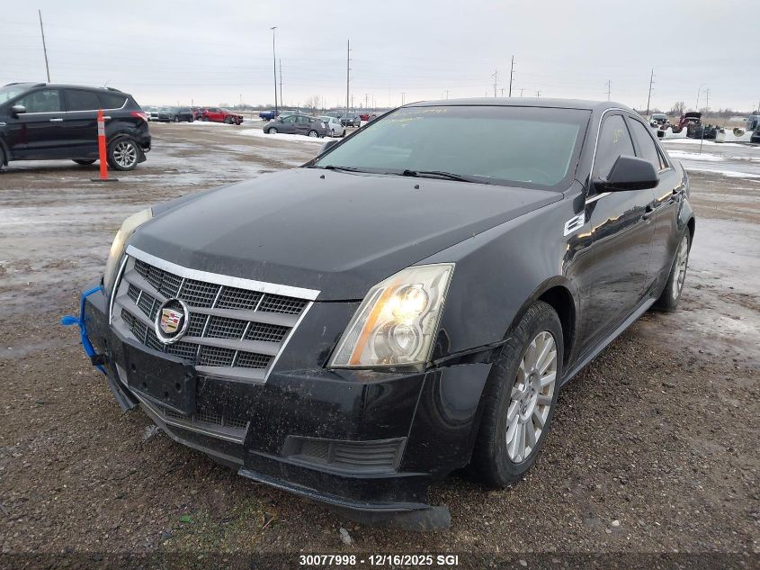 2010 Cadillac Cts VIN: 1G6DA5EG2A0125667 Lot: 30077998