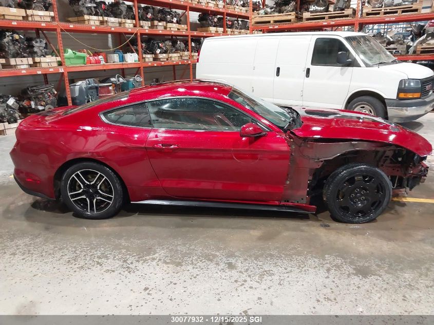 2019 Ford Mustang VIN: 1FA6P8TH0K5107342 Lot: 30077932