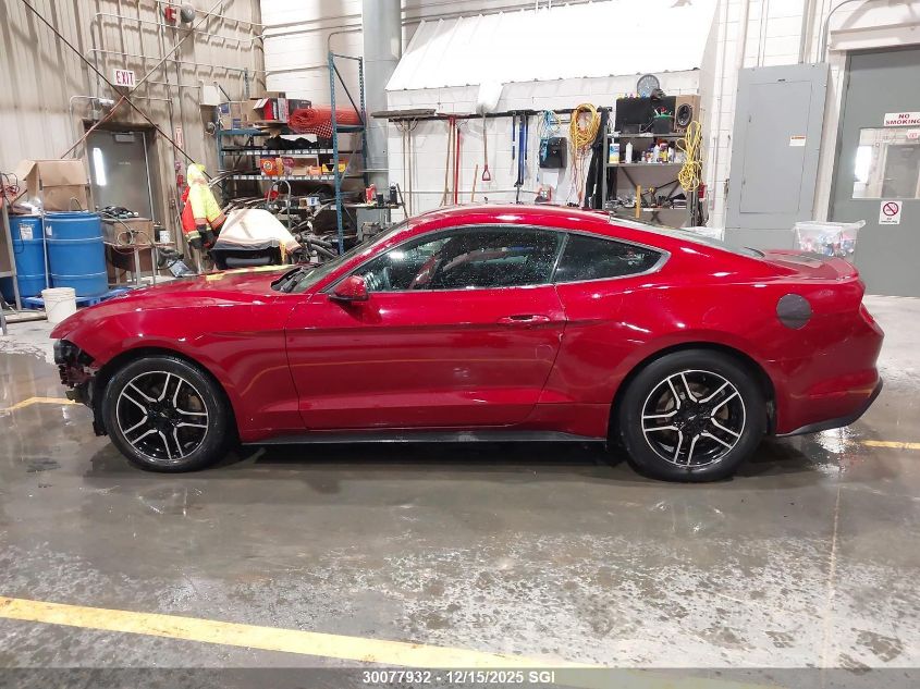 2019 Ford Mustang VIN: 1FA6P8TH0K5107342 Lot: 30077932