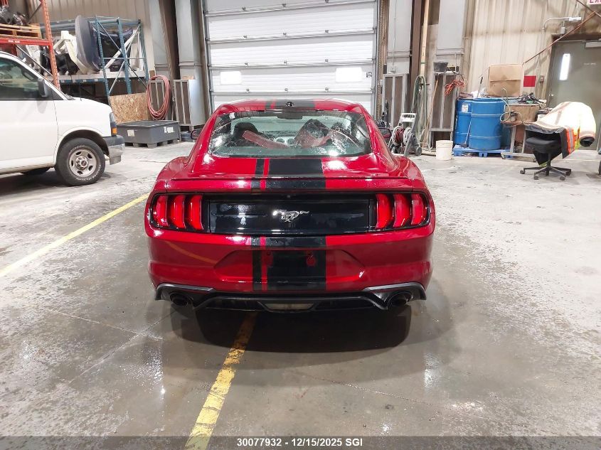 2019 Ford Mustang VIN: 1FA6P8TH0K5107342 Lot: 30077932