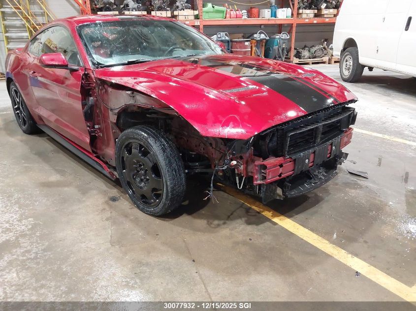 2019 Ford Mustang VIN: 1FA6P8TH0K5107342 Lot: 30077932