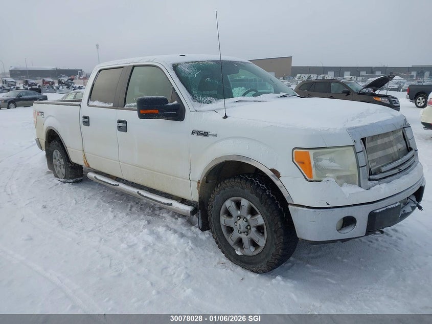 1FTFW1EV0AFA32772 2010 Ford F150 Supercrew auction photo 1