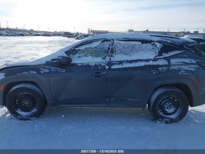 2025 Hyundai Tucson Sel Convenience VIN: KM8JCDD11SU341808 Lot: 30077200